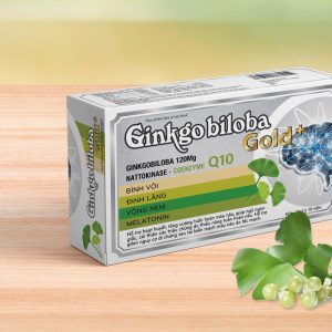 Ginkgo Biloba Gold - Hỗ trợ hoạt huyết, tăng cường tuần hoàn máu não