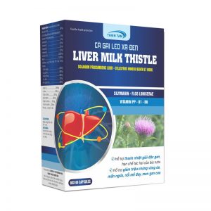Cà gai leo xạ đen - Liver milk thistle, thanh nhiệt giải độc gan