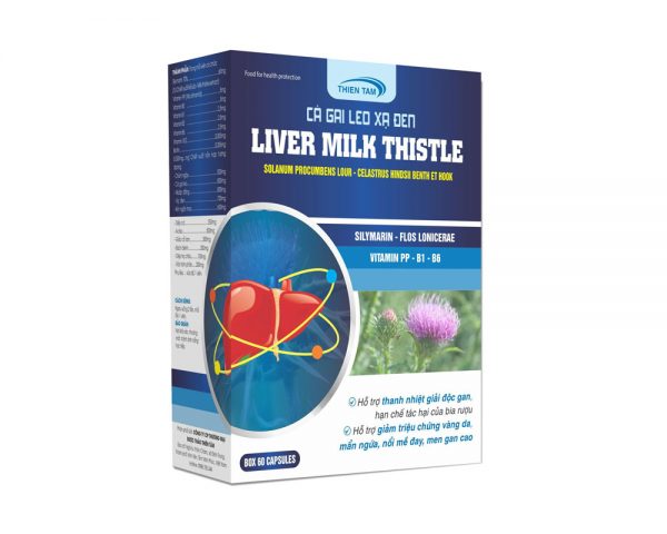 Cà gai leo xạ đen - Liver milk thistle, thanh nhiệt giải độc gan
